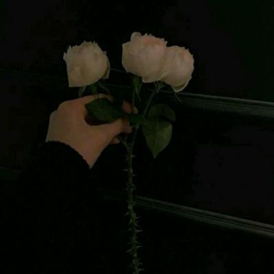 养鸡达人红包版下载